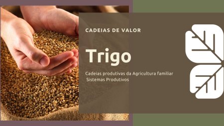 E-book Cadeias de valor - Cultura do trigo 