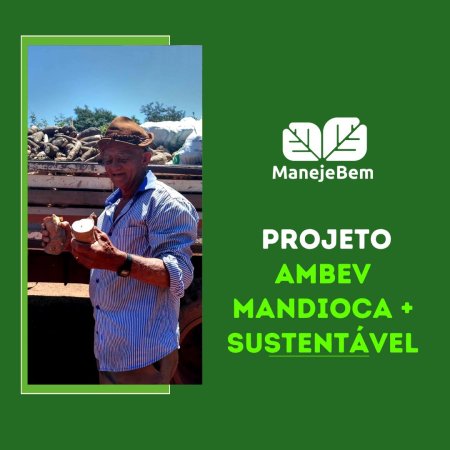 Imagem projeto ambev mandioca mais sustentável