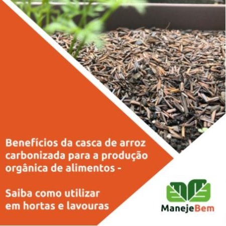 Benefícios da casca de arroz para a produção orgânica de alimentos