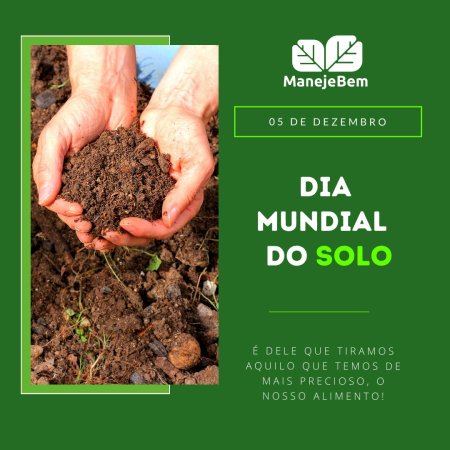 Dia mundial do solo -05 de Dezembro
