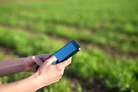 A importância da Assistência Técnica para o Cooperativismo