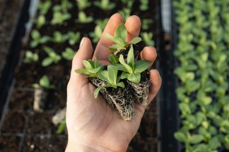 Sustentabilidade na Agricultura