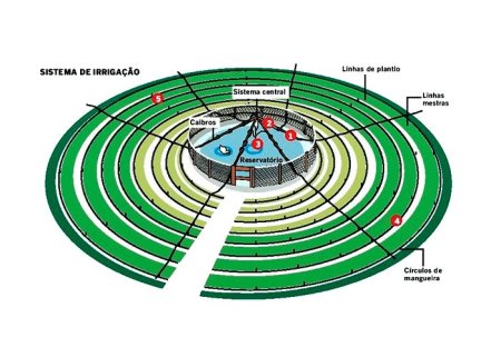 Construção de horta mandala: Uma alternativa sustentável para a Agricultura Familiar e Agricultura Urbana