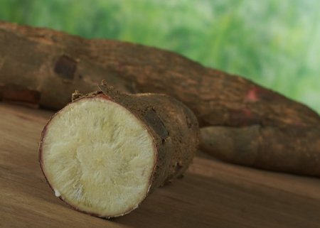 Sistema de Cultivo de Mandioca | Parte 2