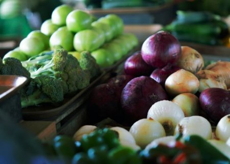 Estudo da Portaria 52 – Parte 2: Produção Primária Vegetal, Mudas e Sementes Orgânicas e Cogumelos