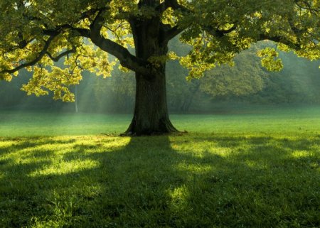 Como Alcançar a Sustentabilidade Econômica do Agroecossistema - Gestão de Custos - Parte 2