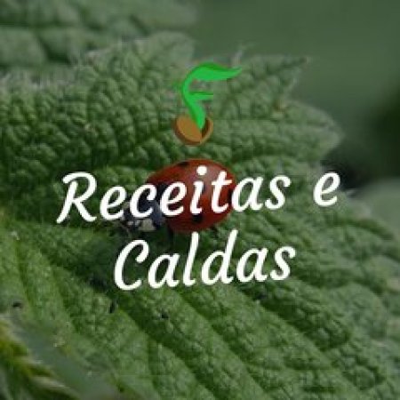 [Fichas Agroecológicas do MAPA] Aplicação de Calda Bordalesa em Frutíferas