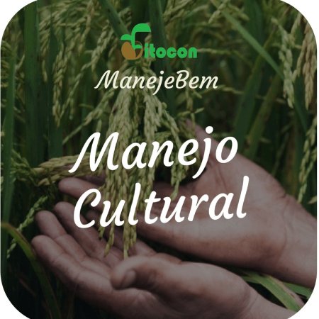 [Manejo Cultural] Tombamento de plântulas e Podridão de sementes no citros