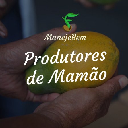 Agora Produtores de Mamão tem um espaço especial dentro da Comunidade ManejeBem