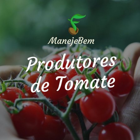 Agora Produtores de Tomate tem um espaço especial dentro da Comunidade ManejeBem