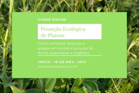 Curso online - Proteção de plantas - Como controlar doenças e pragas em hortas e lavouras de forma ecológica.  