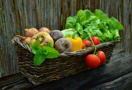 O que é agricultura orgânica?