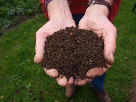 Como preparar o solo para o cultivo de pequenas hortas?