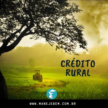 Crédito rural : suas modalidades, finalidades e mudanças em relação ao anterior