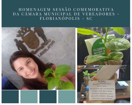 Homenagem Combate ao Uso de Agrotóxicos - Florianópolis