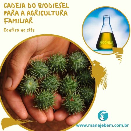 Produção de matéria-prima por agricultores familiares para produção de biodiesel 