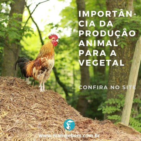 Importância da produção animal na agricultura orgânica