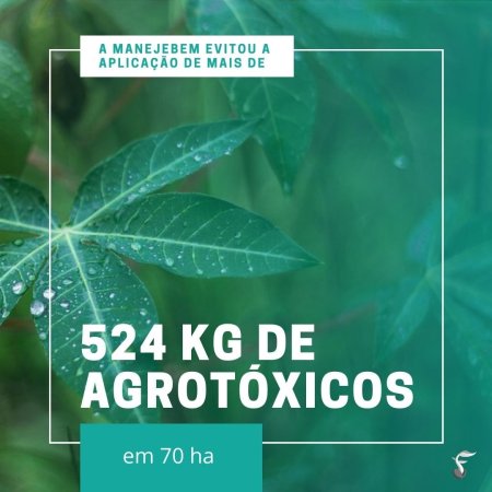 A ManejeBem evitou a aplicação de mais de 524 kg de agrotóxicos em 70 hectares