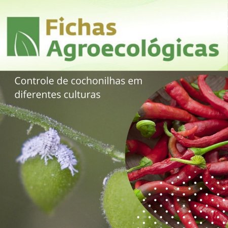 Ficha agroecológica do Ministério da Agricultura - Controle da cochonilha
