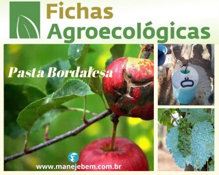 Ficha Agroecológica - Pasta Bordalesa 