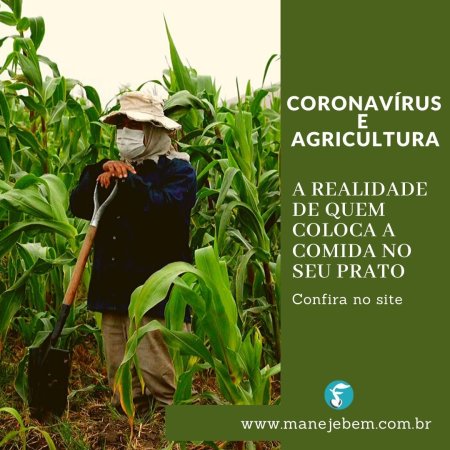 Coronavírus e agricultura : a realidade de quem coloca comida no seu prato