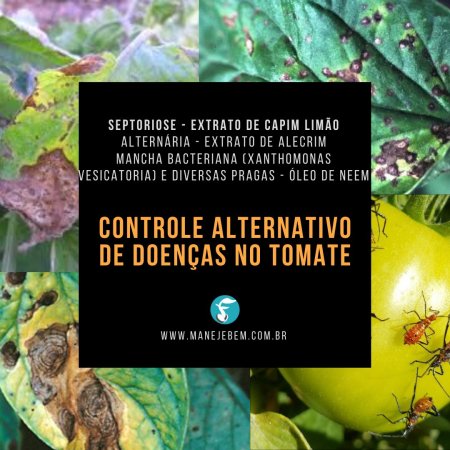 Controle Alternativo de Doenças no Tomateiro