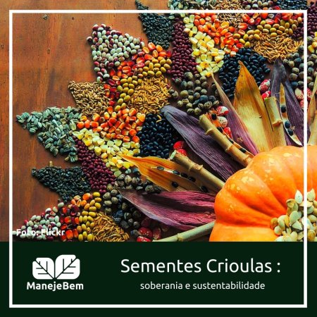 Sementes Crioulas: Sabedoria e Sustentabilidade