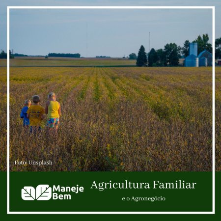 Agricultura Familiar e Agronegócio
