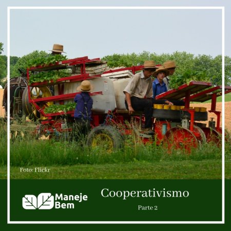 Cooperativismo - Parte 2
