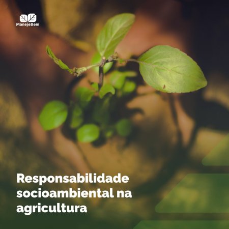 Responsabilidade socioambiental - para além das porteiras das fazendas.