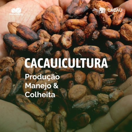 Série Manejo, Produção e Colheita do Cacau - Características, variedades e necessidades da cultura 