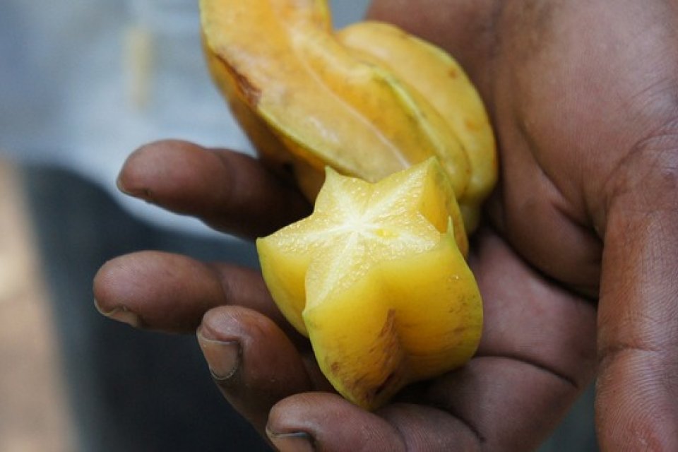 Carambola