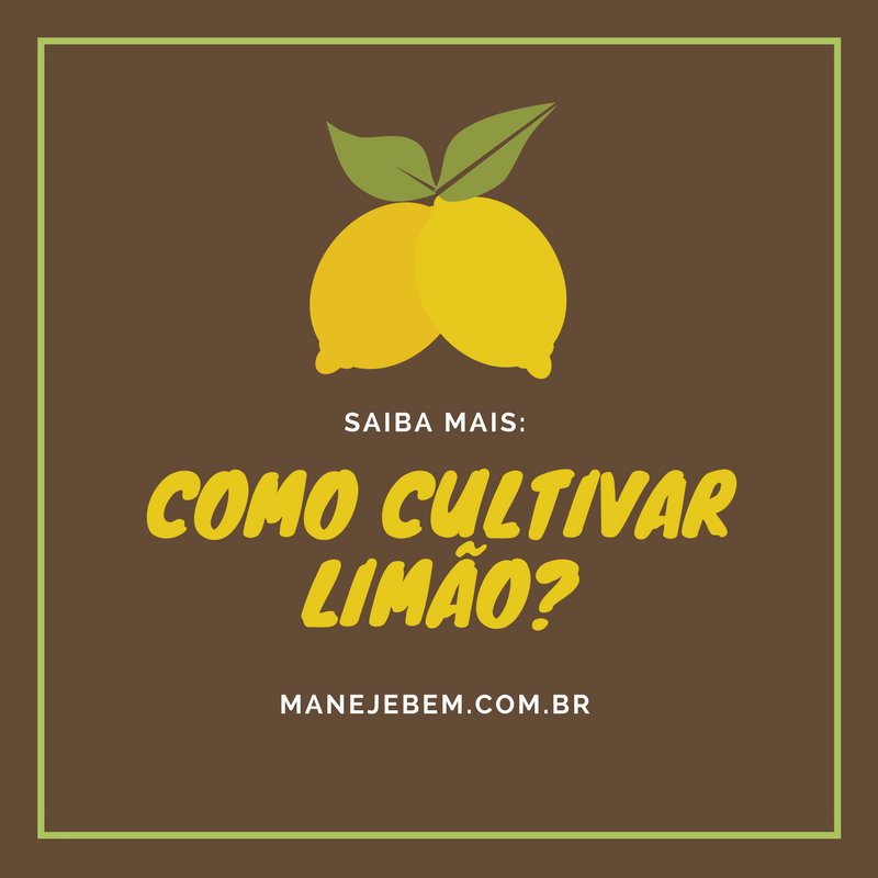 Como cultivar limão - Maneje Bem - Fitocon