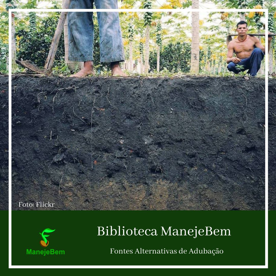 PDF) PRODUÇÃO DE BIOMASSA DE COUVE MANTEIGA EM FUNÇÃO DE DIFERENTES DOSES DE ADUBAÇÃO ORGÂNICA NO VALE DO SUBMÉDIO DO SÃO FRANCISCO
